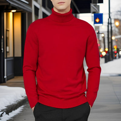 Ronny - Basic warm turtleneck jumper
