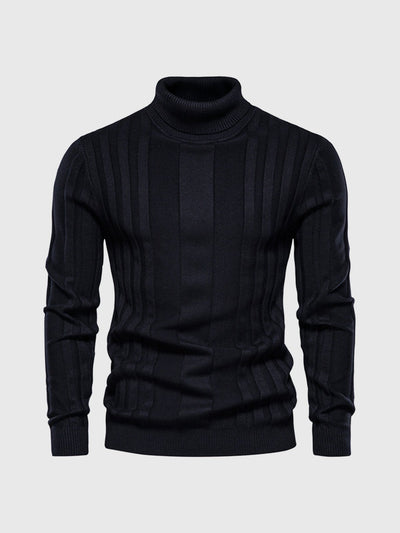 Striped turtleneck jumper for men