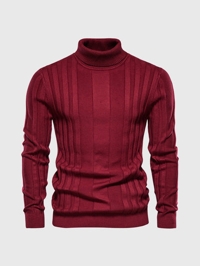 Striped turtleneck jumper for men