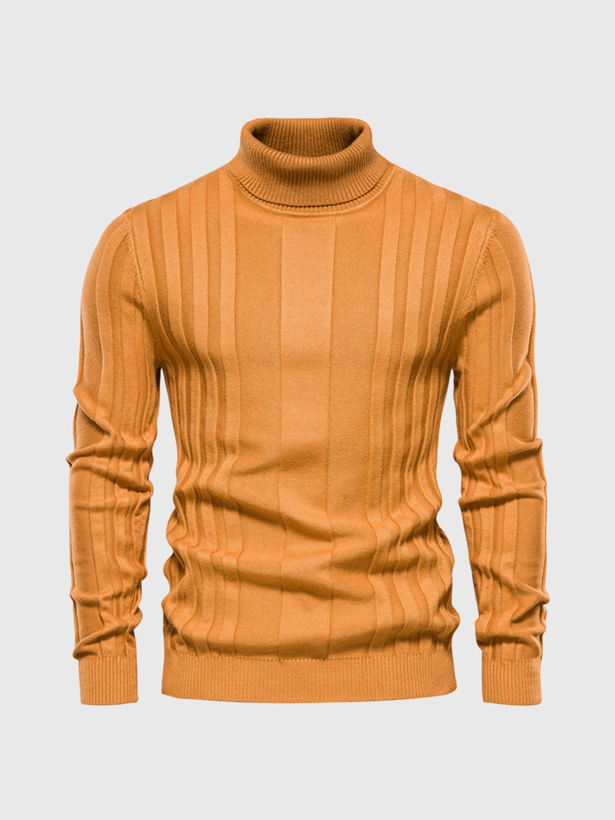 Striped turtleneck jumper for men