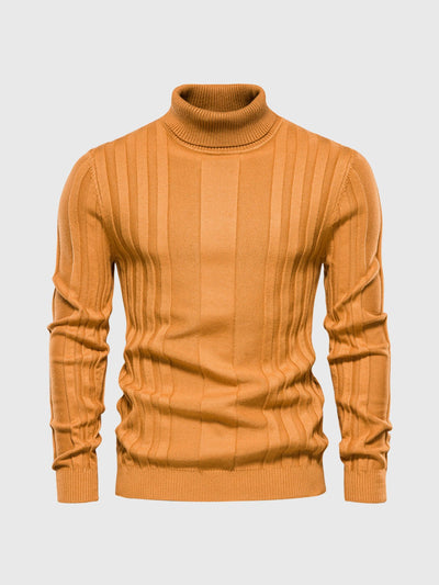 Striped turtleneck jumper for men